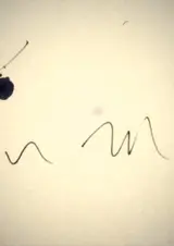 Сон