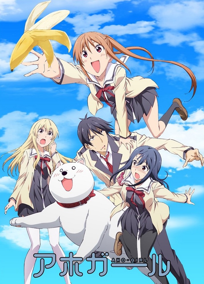 Постер Дурочка