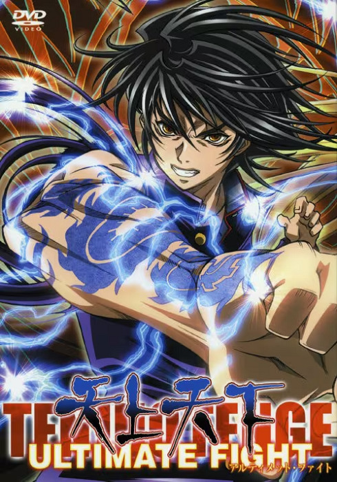 Постер Небо и земля: Бои без правил