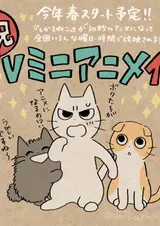 Ругающий кот