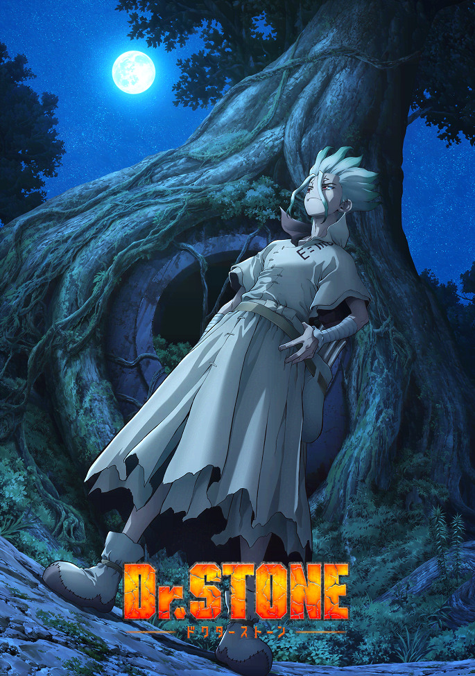 Постер Доктор Стоун: Новый мир