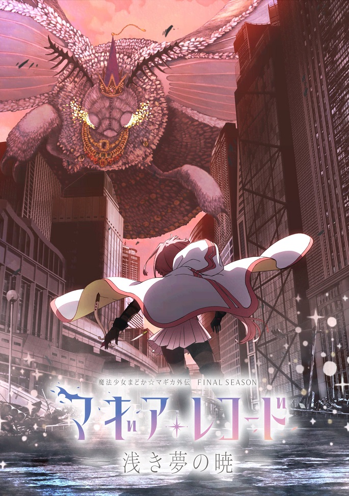 Постер Записи о магии: Девочка-волшебница Мадока★Волшебство — Гайдэн. Финал