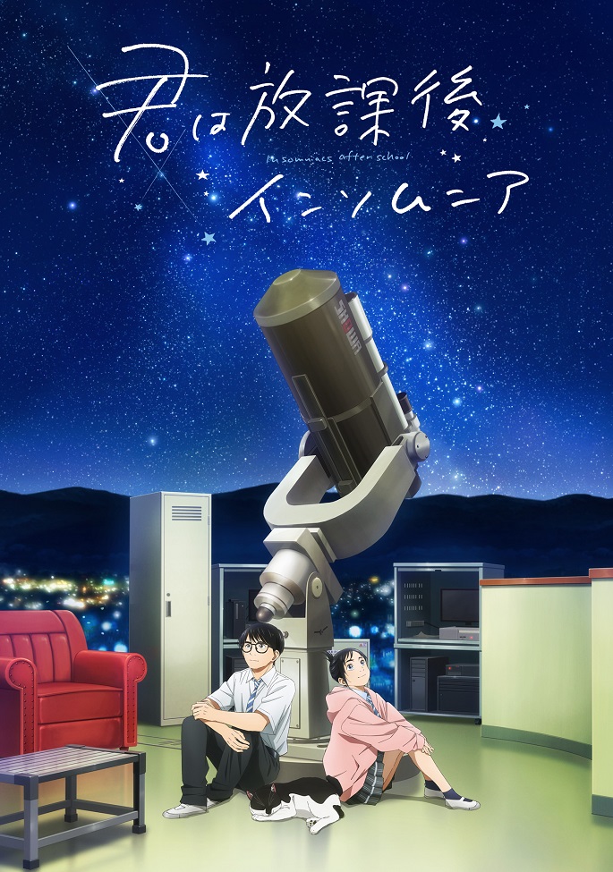 Постер Бессонница после школы