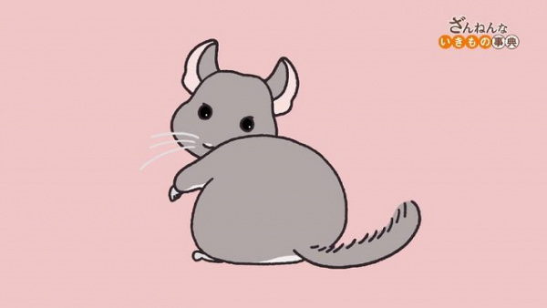 Постер Энциклопедия жалких созданий 3