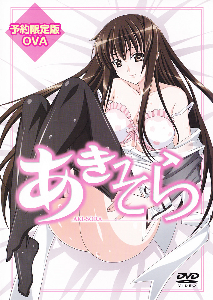 Постер Аки и Сора