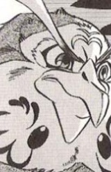 Кепора Гебора