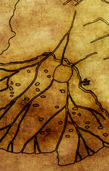 Рассказчица