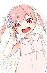 Тихо Норита