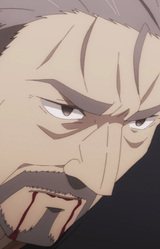 Джерга Иджейска