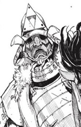 Такаминэ Хиратика