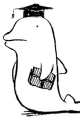 Дельфин-калькулятор