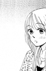 Эрика Миядзи