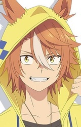 Дикта Страйкер