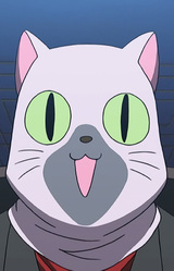 Сиамский кот