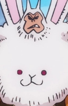 Человек-кролик