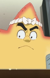 Мужчина-морская звезда