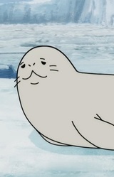 Crabeater Seal