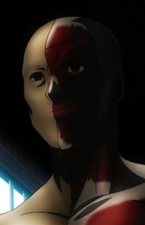 Анатомическая модель