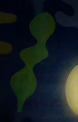 Маленькая ламинария