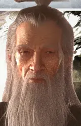 Мастер Бо