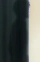 The Painter