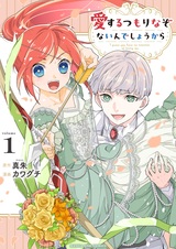 Aisuru Tsumori nazo Nain deshou kara